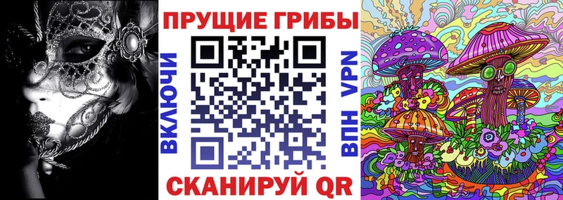 Псилоцибиновые грибы мухоморы Элиста